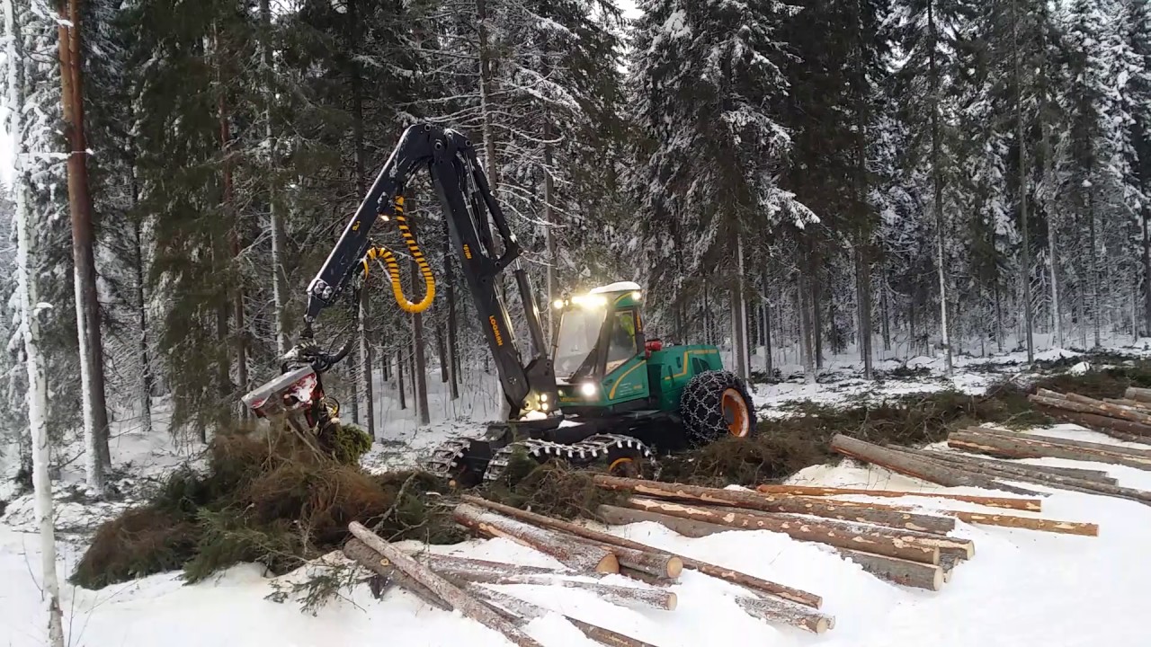 CTL (cut-to-length) forest harvesting in Nurmes, Finland, part 1/2