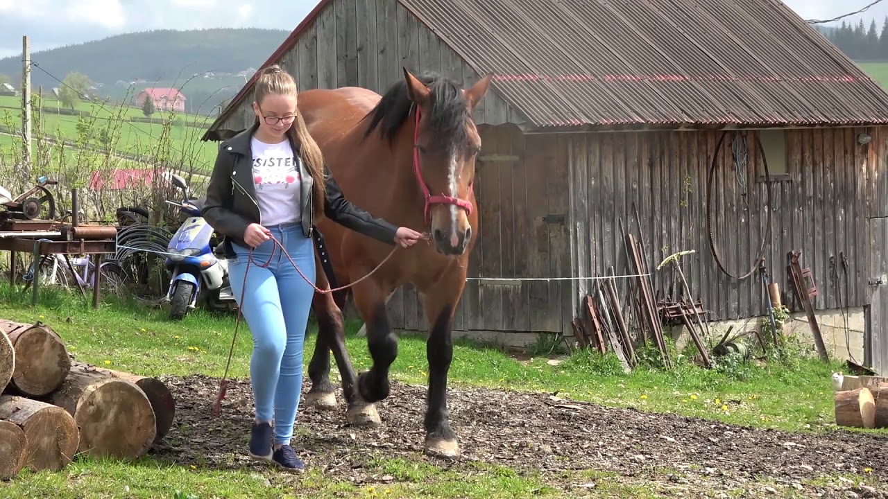 In vizita la Alina de la Marisel, Cluj 2019