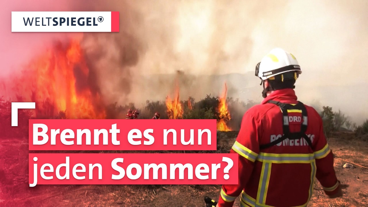 Waldbrandgefahr: Wird es durch die Klimakrise immer gefährlicher? Weltspiegel fragt