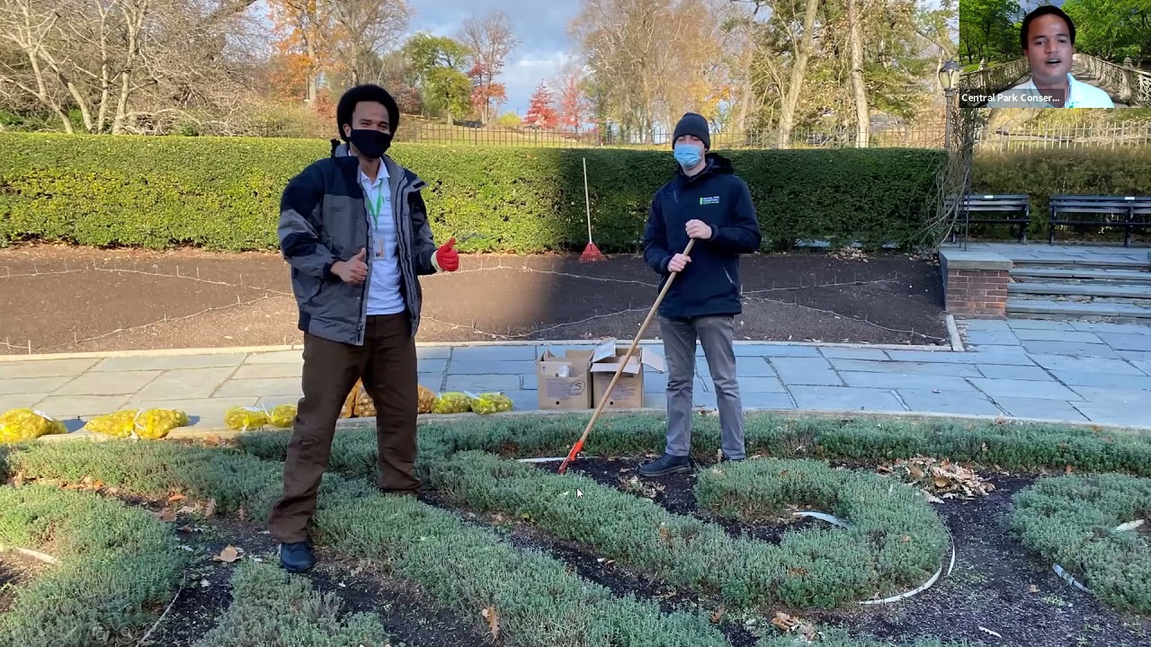 Weekly Walk: The colorful, blooming Conservatory Garden