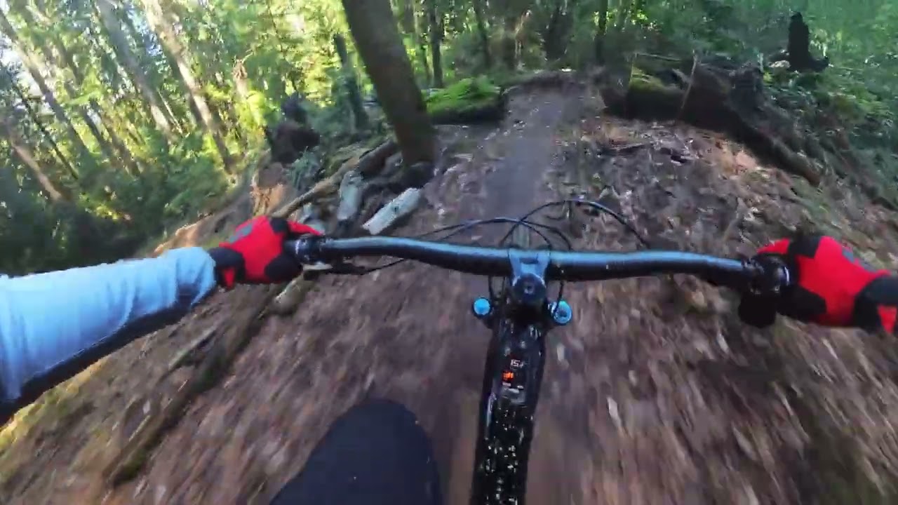 Demo Forest Flow Trail ~~ 4 miles of pure fun w/ Amflow PL Carbon Pro..