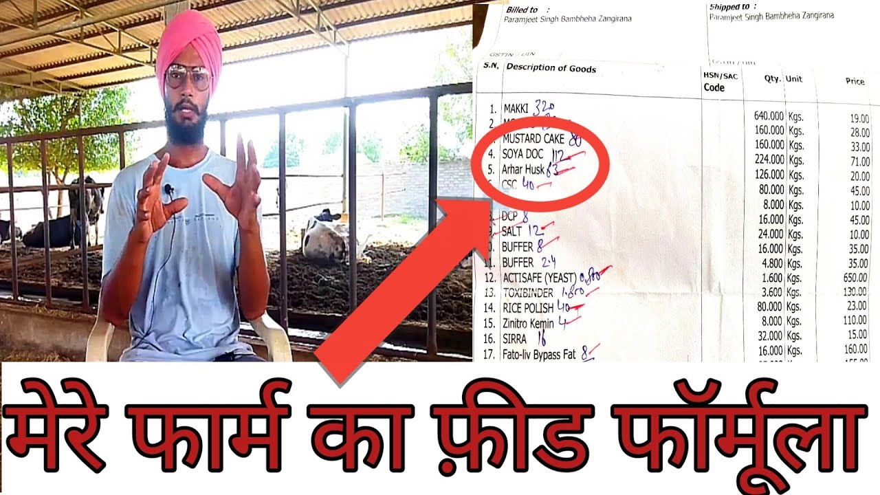 Feed formula for dairy cow। feed kaise banaye। best feed formula of my dairy farm for milking cow।