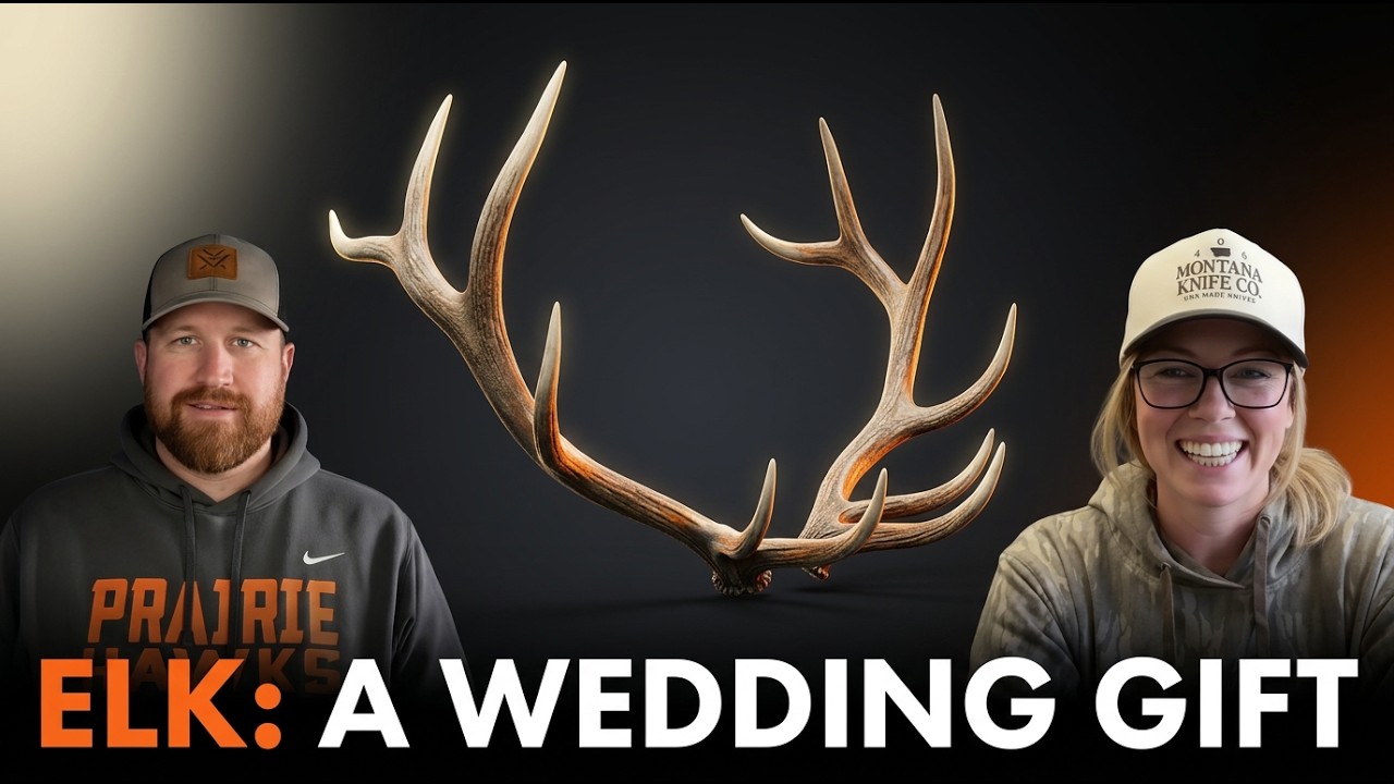 Elk Hunting: A Wedding Gift