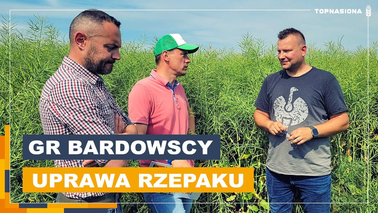 Jak uprawia rzepak Grzegorz Bardowski? Cz. 1/3 | Rzepak Guzzi | Top Nasiona