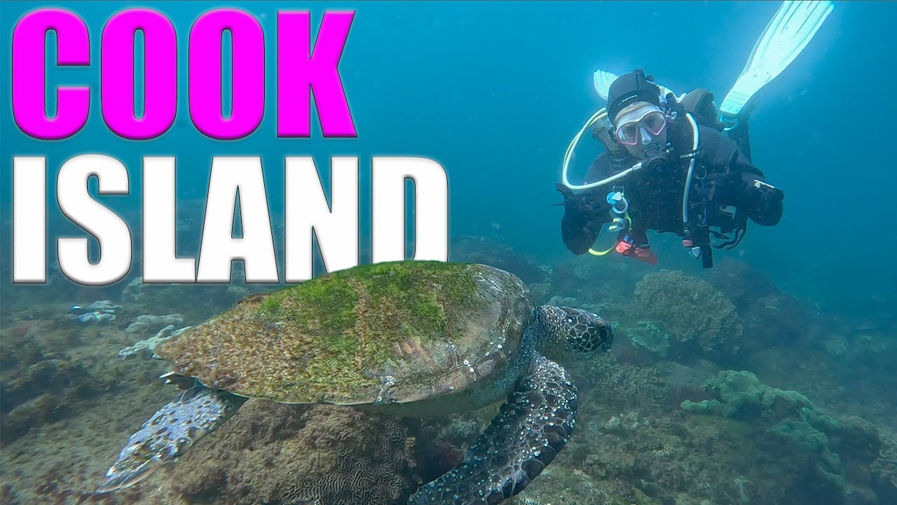 Scuba Diving The AQUATIC SANCTUARY Of Cook Island Australia 🇦🇺