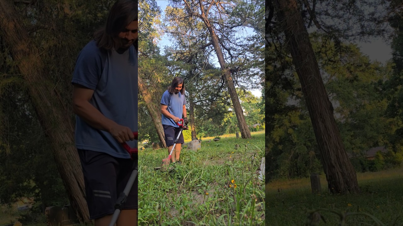 cemetery transformation