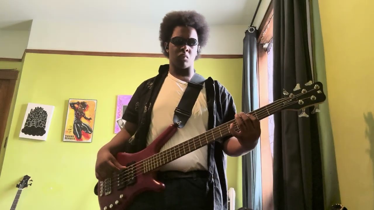 311 - Feels So Good Bass Cover