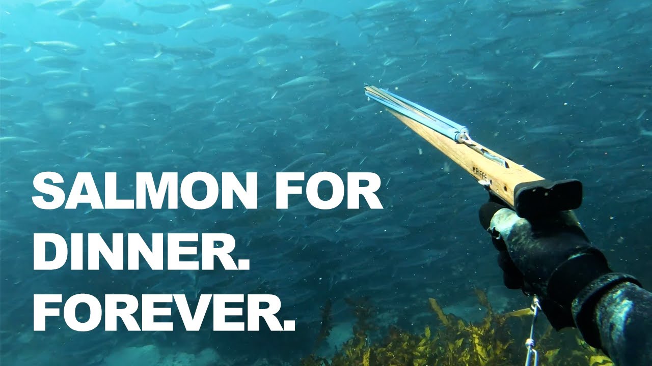 FishPro Spearfishing: Sharks+Salmon+JetSkis