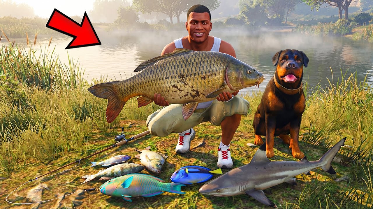 ФРАНКЛИН ГИГАНТ БАЛЫҚ ҰСТАП ЖАРЫСТЫ (GTA V)