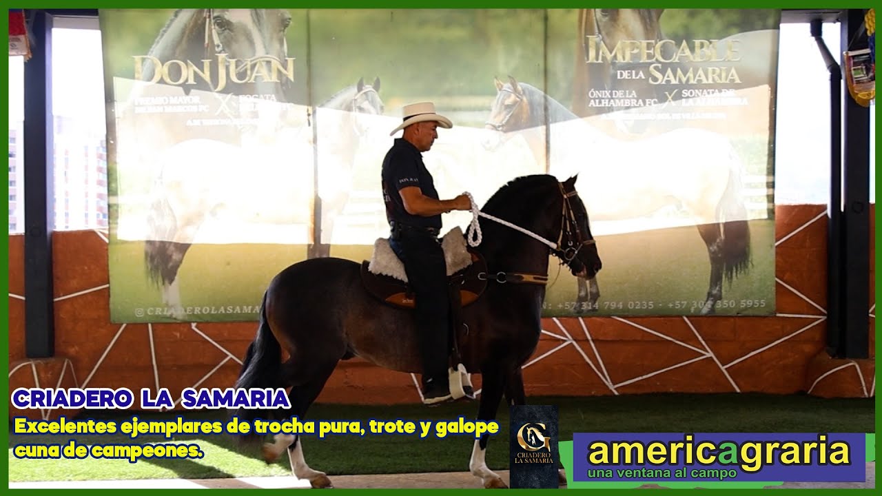 Trocha, trote y galope - Criadero la samaria