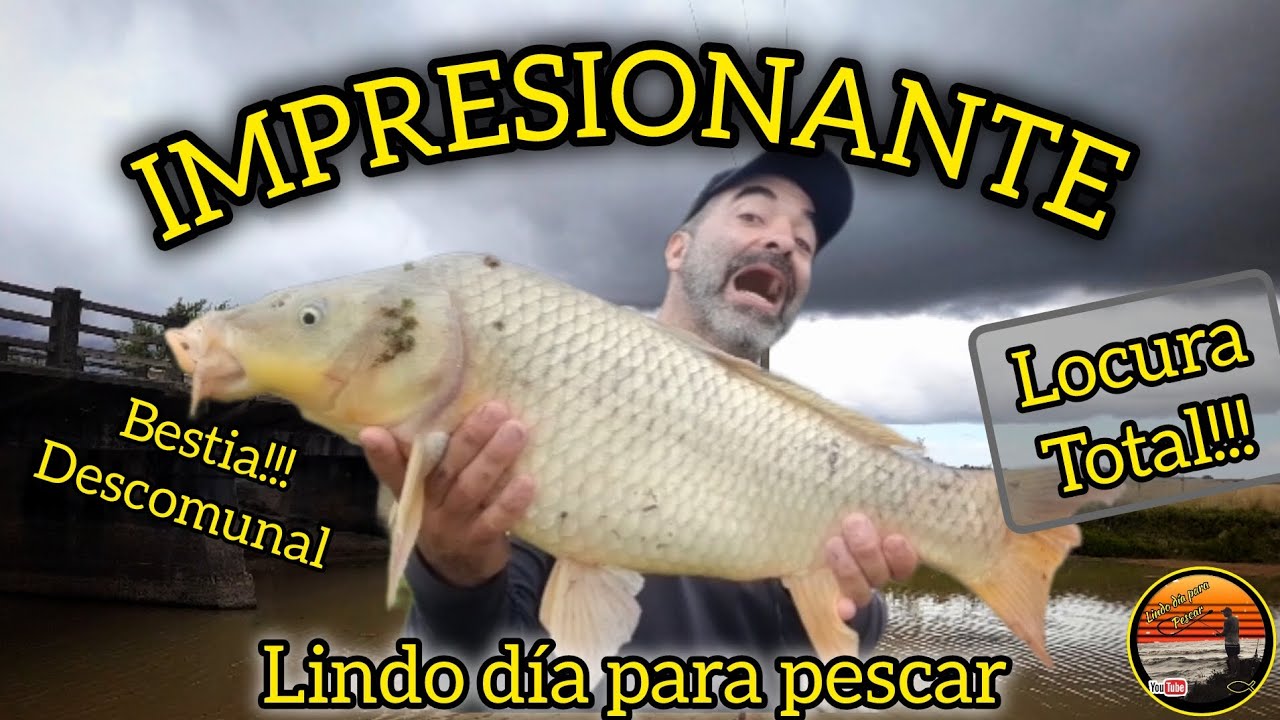 Pesca y aventuras!!! Desde un lugar gratis y para todos!!! //Carpa Monstruo// tarariras 