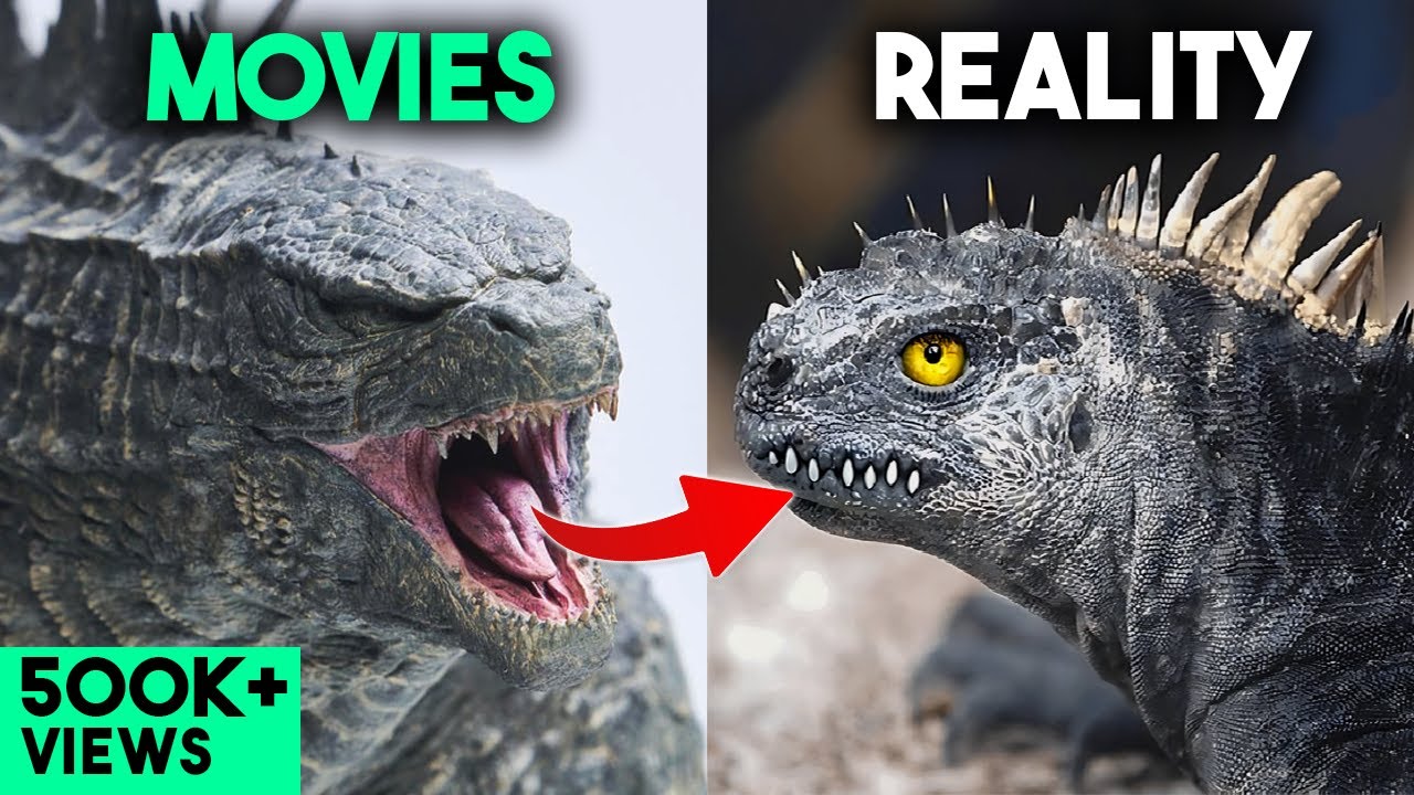 5 DANGEROUS Movies Animals in Real Life
