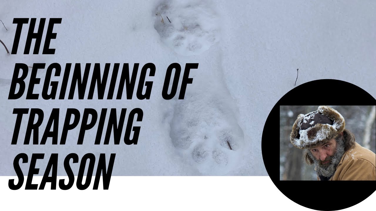 Эпизод 1: Начало сезона охоты || Trapper Chum