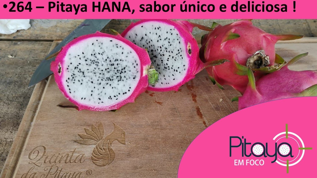 OLHA A BELEZA DA HANA ! A PITAYA DE POLPA BRANCA E DE SABOR ÚNICO !
