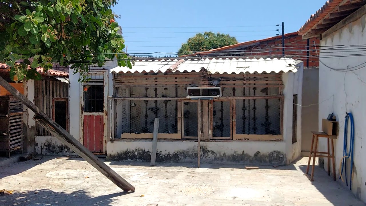 Chegada da primeira solta de meio fundo340