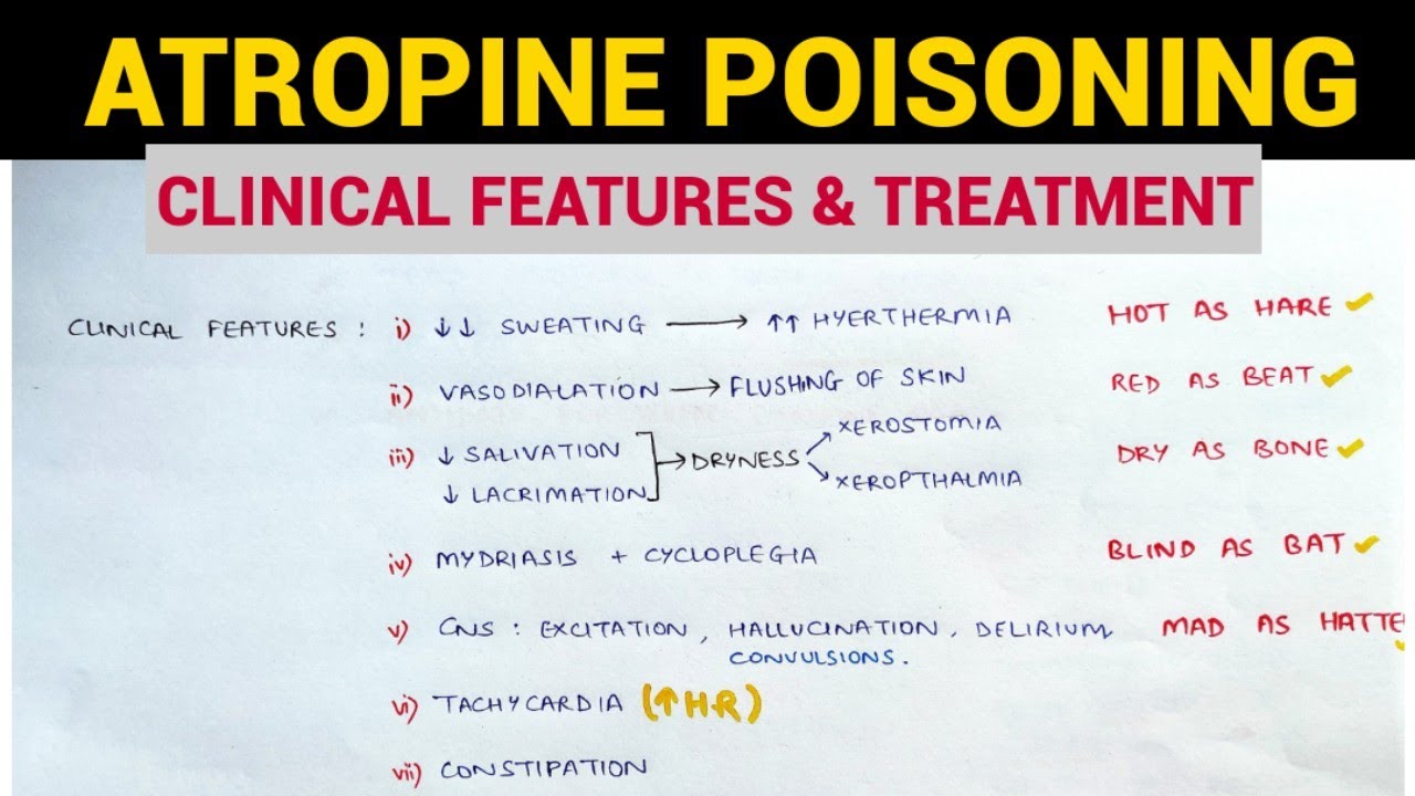 Autonomic Pharmacology - 11 | Atropine Poisoning | EOMS