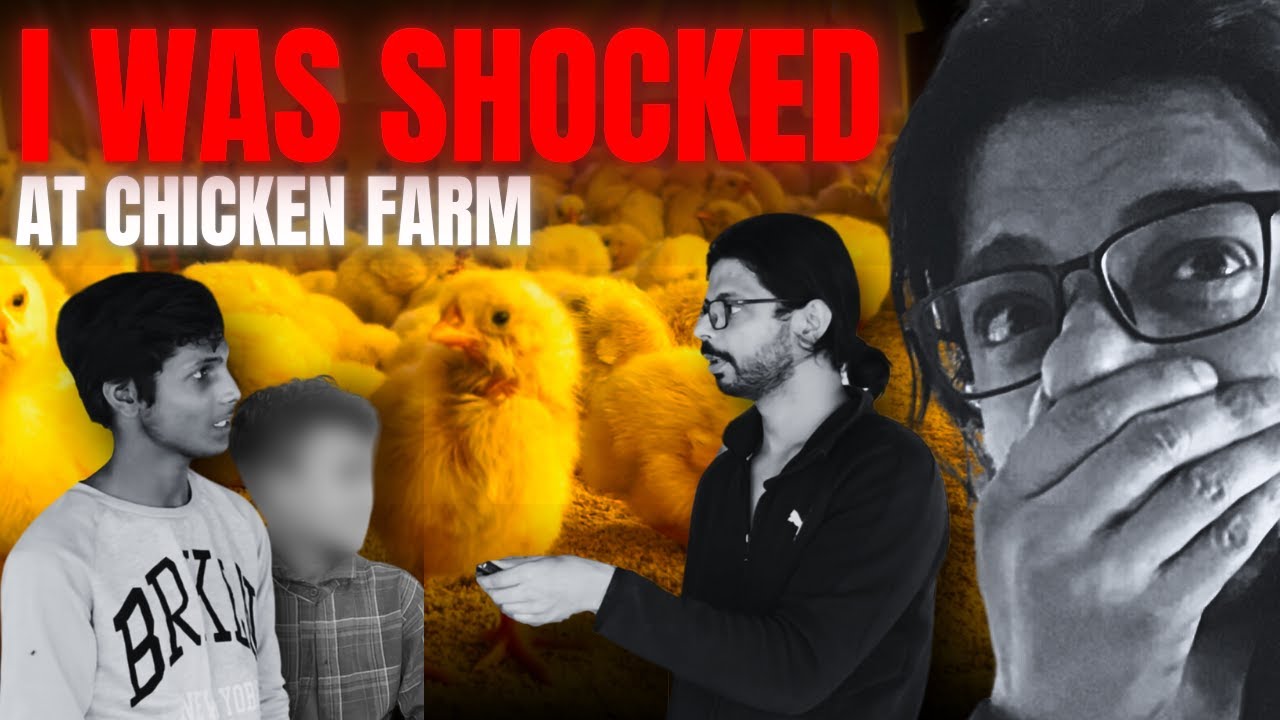 Big Business - Village Poultry Farm Reality | Know your hens | voice of vegans