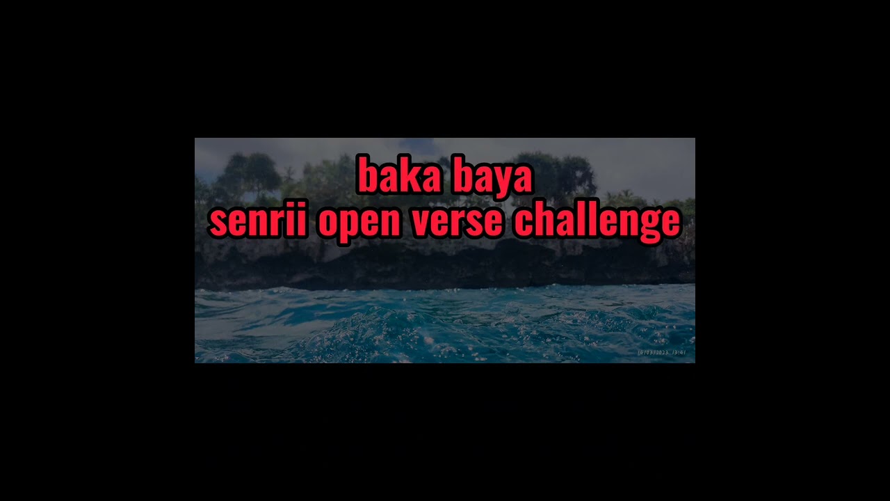 baka baya Remix (senrii ft Viginuts