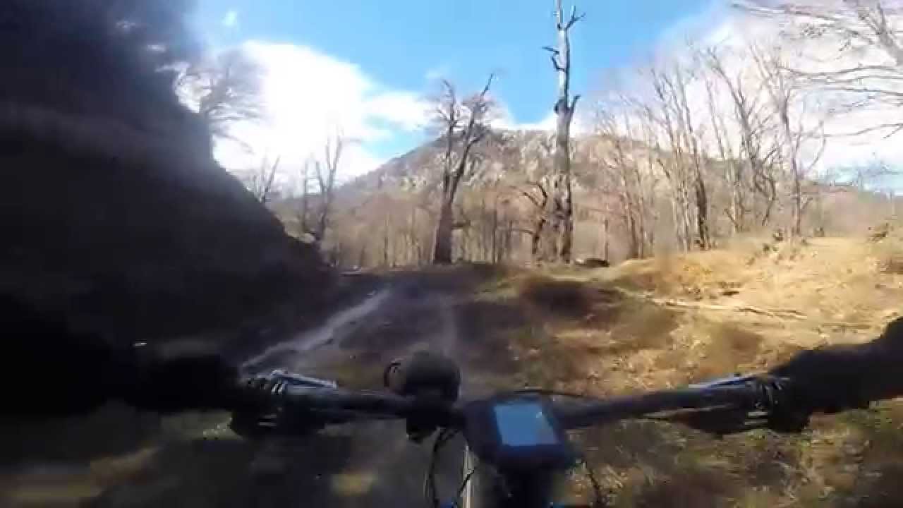 Pedaleo MTB en reserva china muerta  Melipeuco, Chile