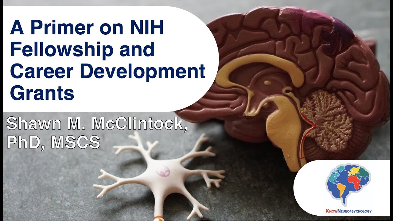 A Primer on NIH Fellowship and Career Development Grants