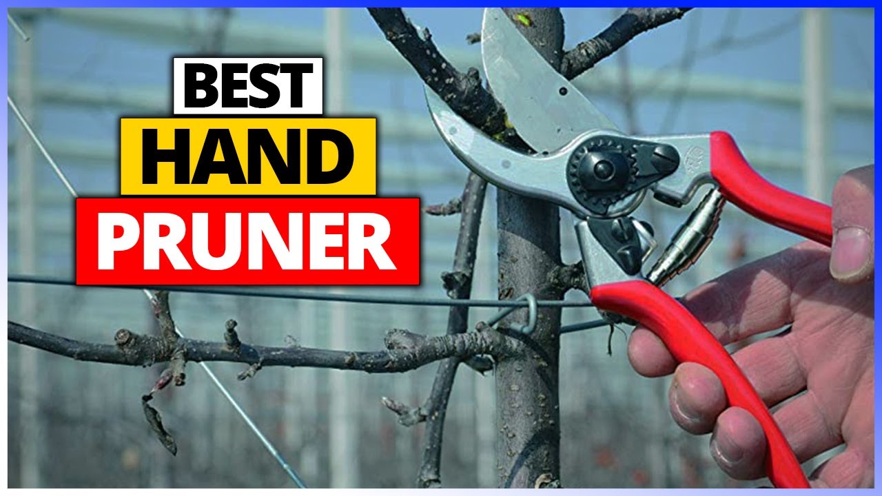 🌿 Top 6 Best Hand Pruners in 2026 – Cut Like a Pro!