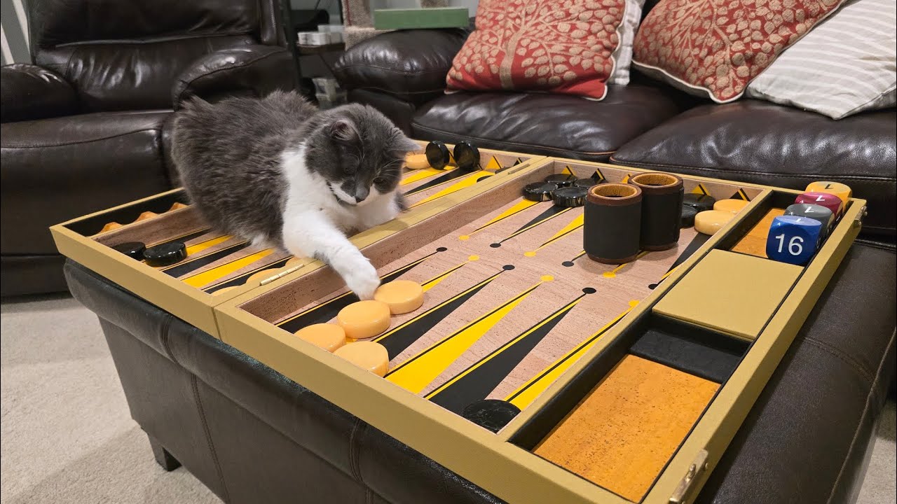 Schmidt Bros.  Backgammon board review 