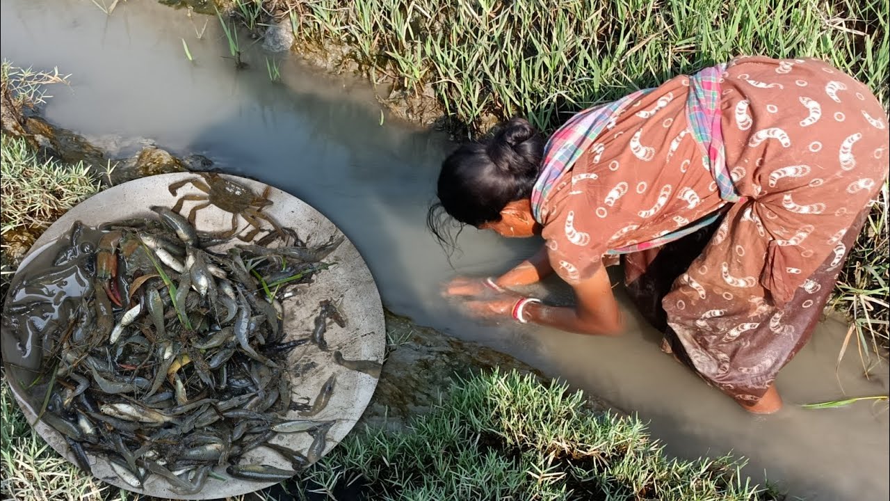 ऐसे कोन पकाड़ता है मछली || Hand Fishing || Catching Freshwater Shrimp 