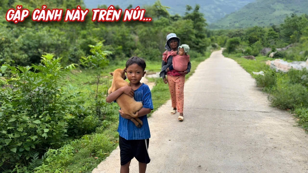 TÌNH CỜ gặp cảnh này trên ĐÈO NÚI.. /45