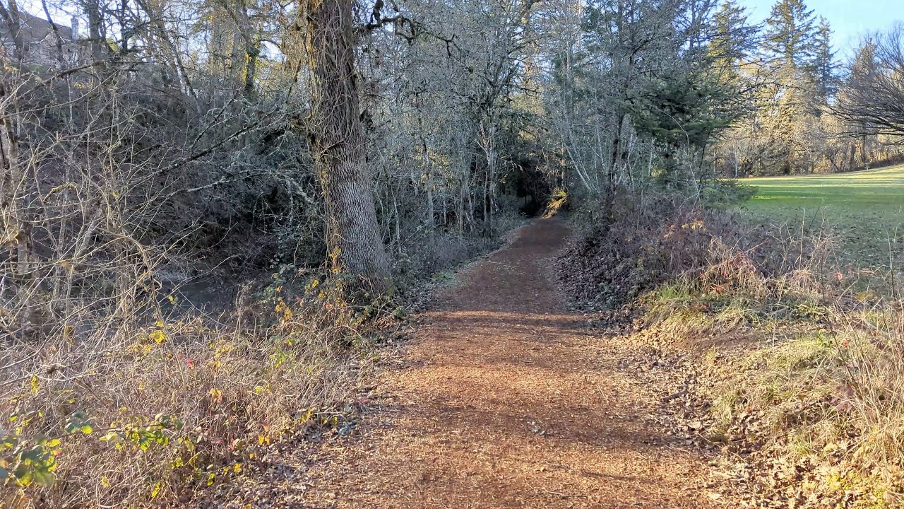 Ewing Young Park – Clear Winter Afternoon Sun | Quiet Solo Walk