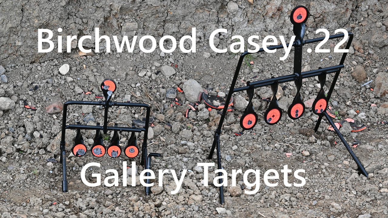 Birchwood Casey 22 LR Gallery Steel Targets