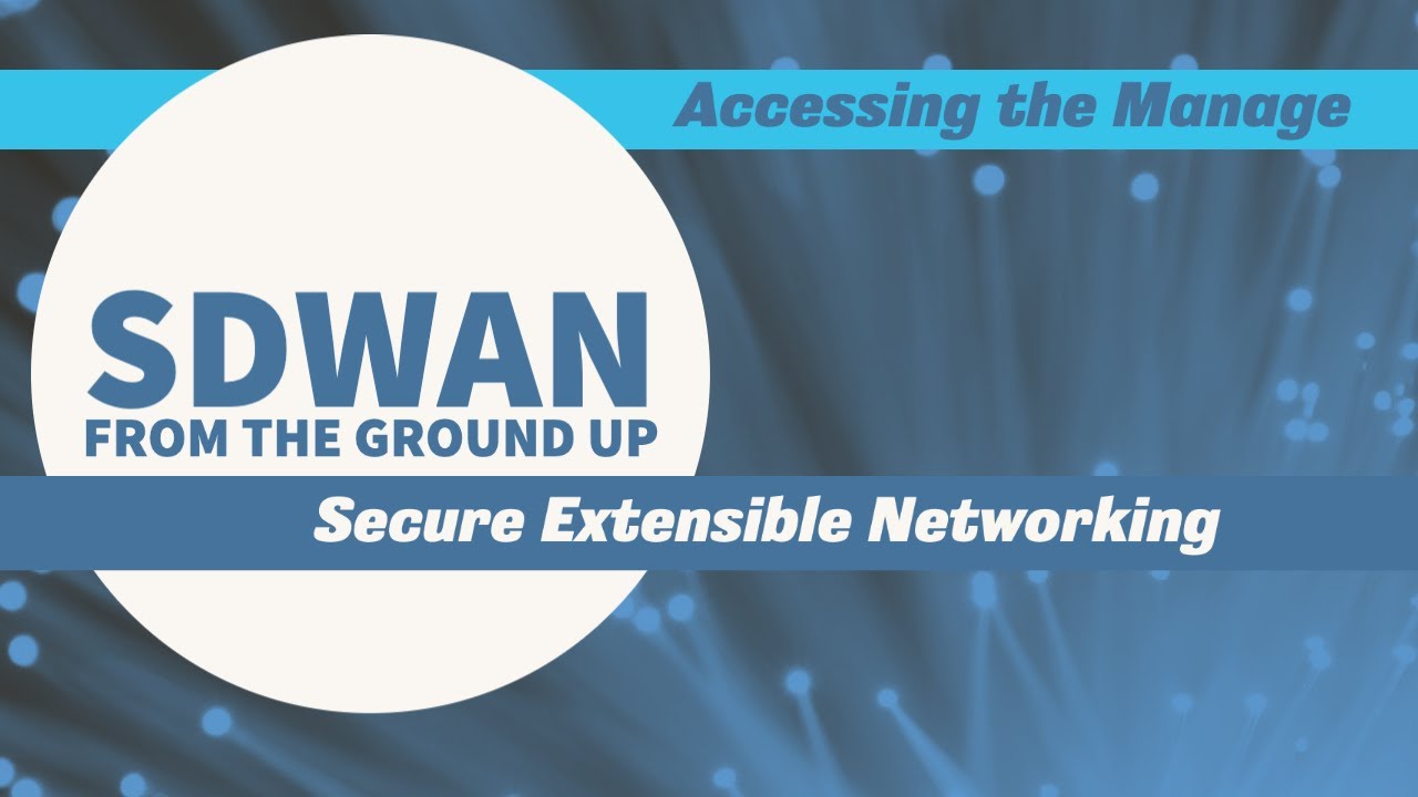 Accessing the vManage