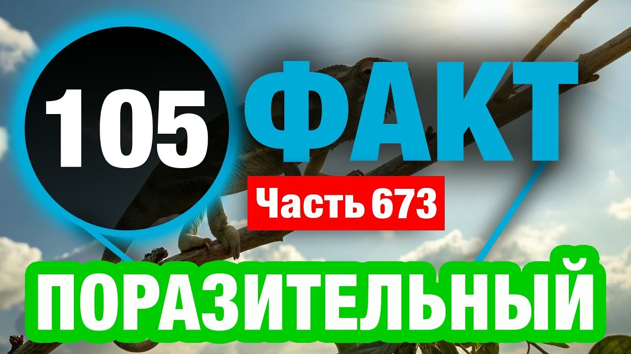 105 Исключительный Факт О Котором Вы Не Знали