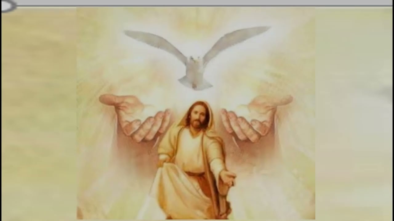 Jesus, ich liebe dich in Deinem Göttlichen Willen
