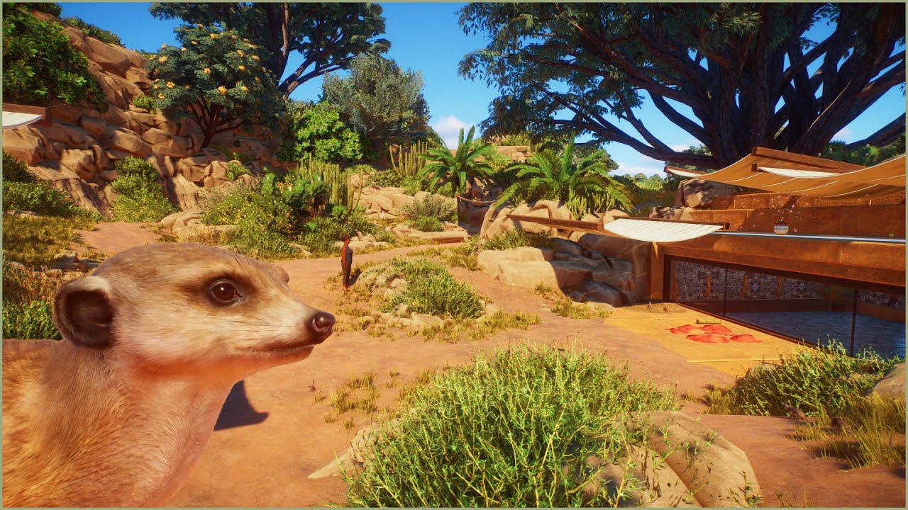 🐈 Natural meerkat walkthrough habitat in the desert | Majah Zoo | Planet Zoo | speedbuild 🌵