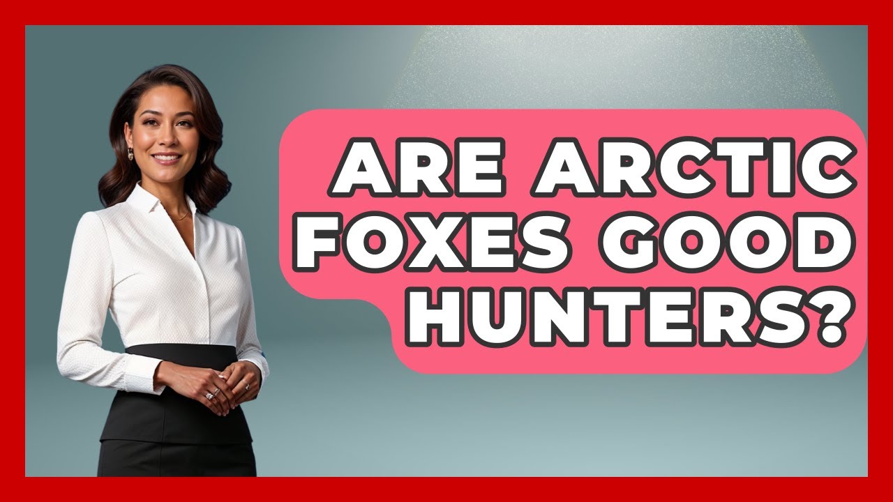 Are Arctic Foxes Good Hunters? - Polar Regions Uncovered