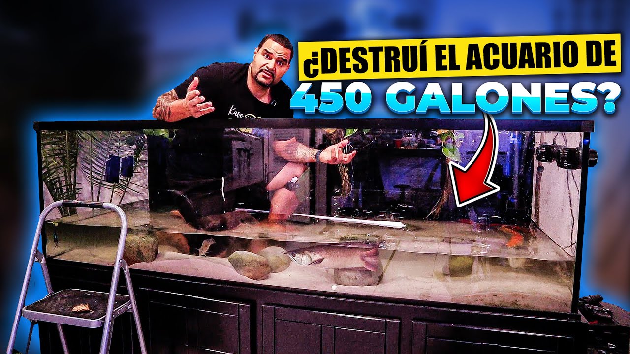 ¡Instalar un fondo 3D en mi acuario hizo que mi tanque se viera INCREÍBLE!