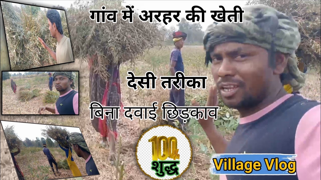 अरहर की खेती में नई तकनीक | किसान भाइयों के लिए जरूरी वीडियोPigeon Pea Farming New