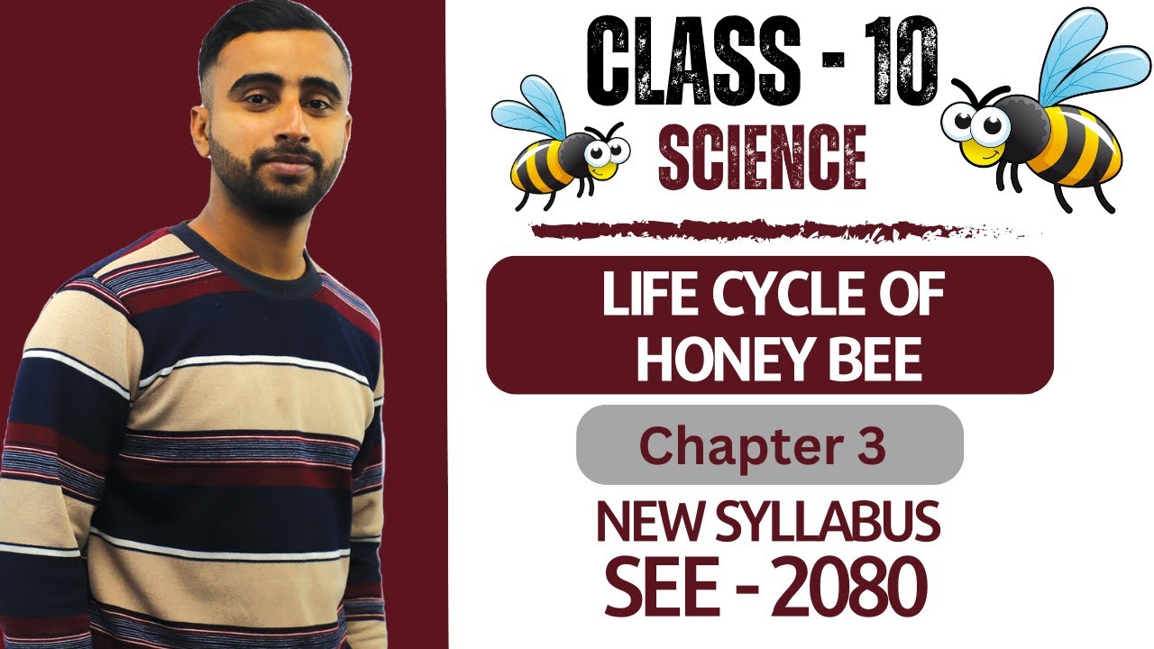 Life Cycle of Honey Bee || Class 10 Science Chapter 3 in Nepali || New Syllabus || SEE Exam -Gurubaa