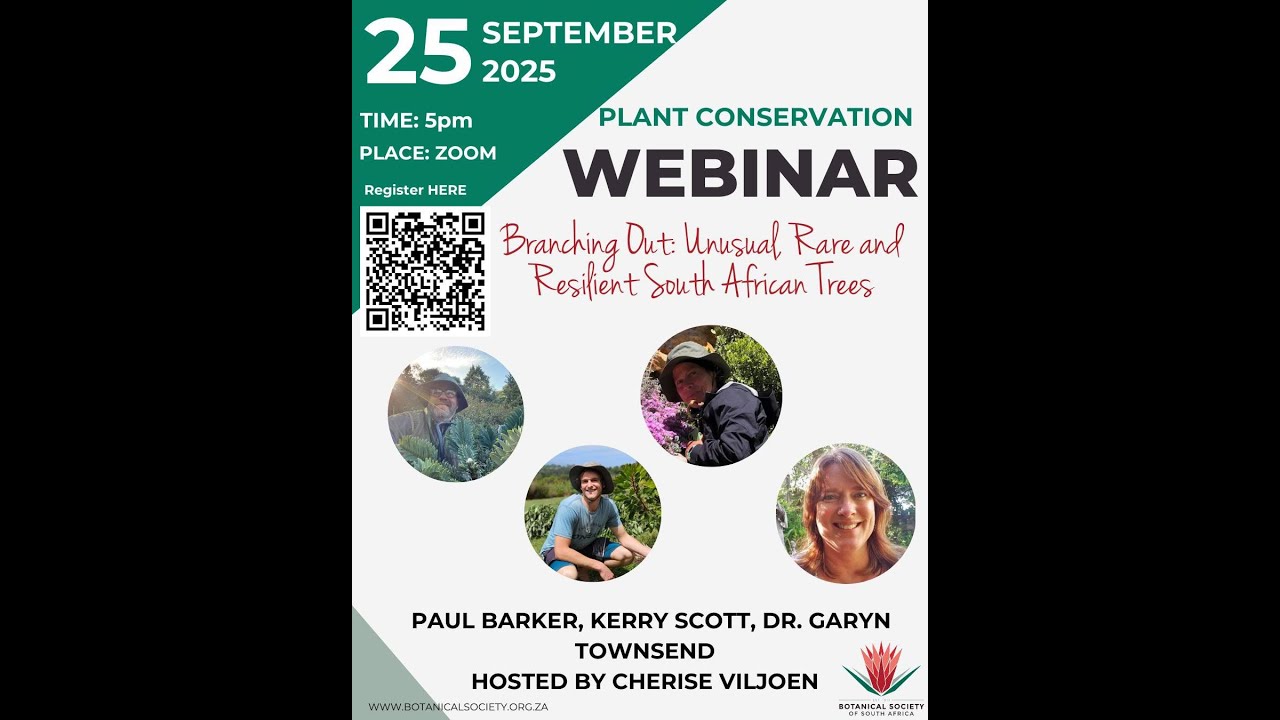 Branching Out: Unusual, Rare and Resilient SA Trees