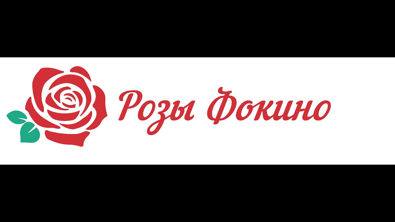 Обзор гортензии Ваниль Фрайз из питомника Розы Фокино
