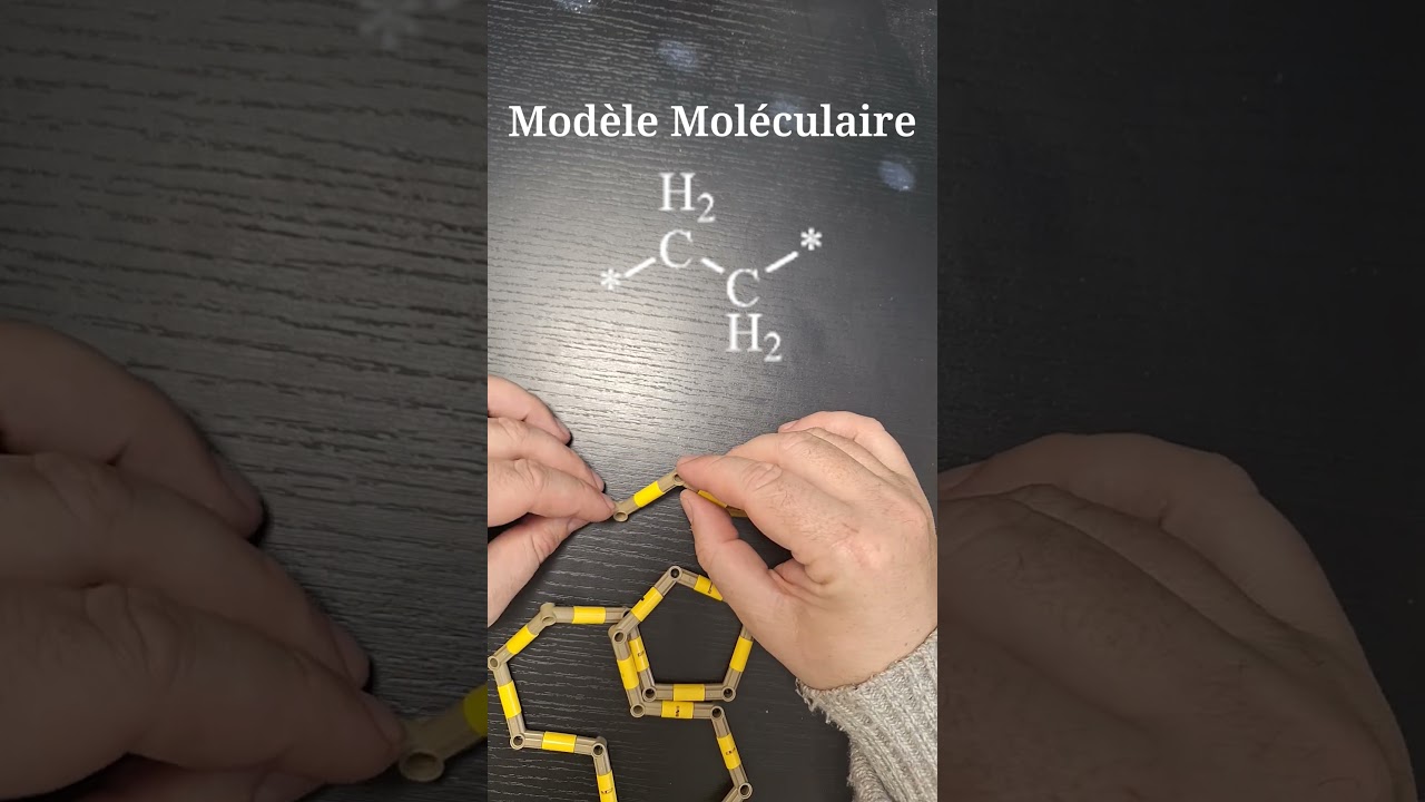 Comprendre les Polymères avec les LEGO: Modèle moléculaire