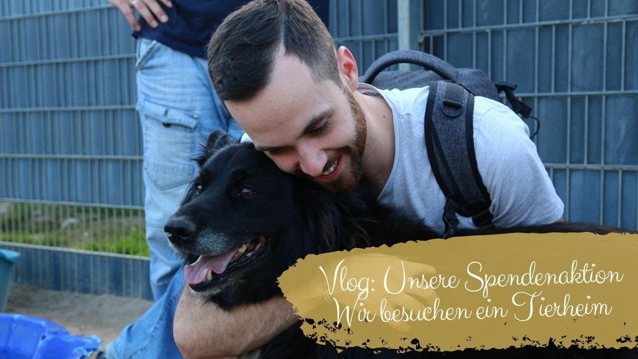 Vlog: Unsere Spendenaktion - Wir besuchen ein Tierheim
