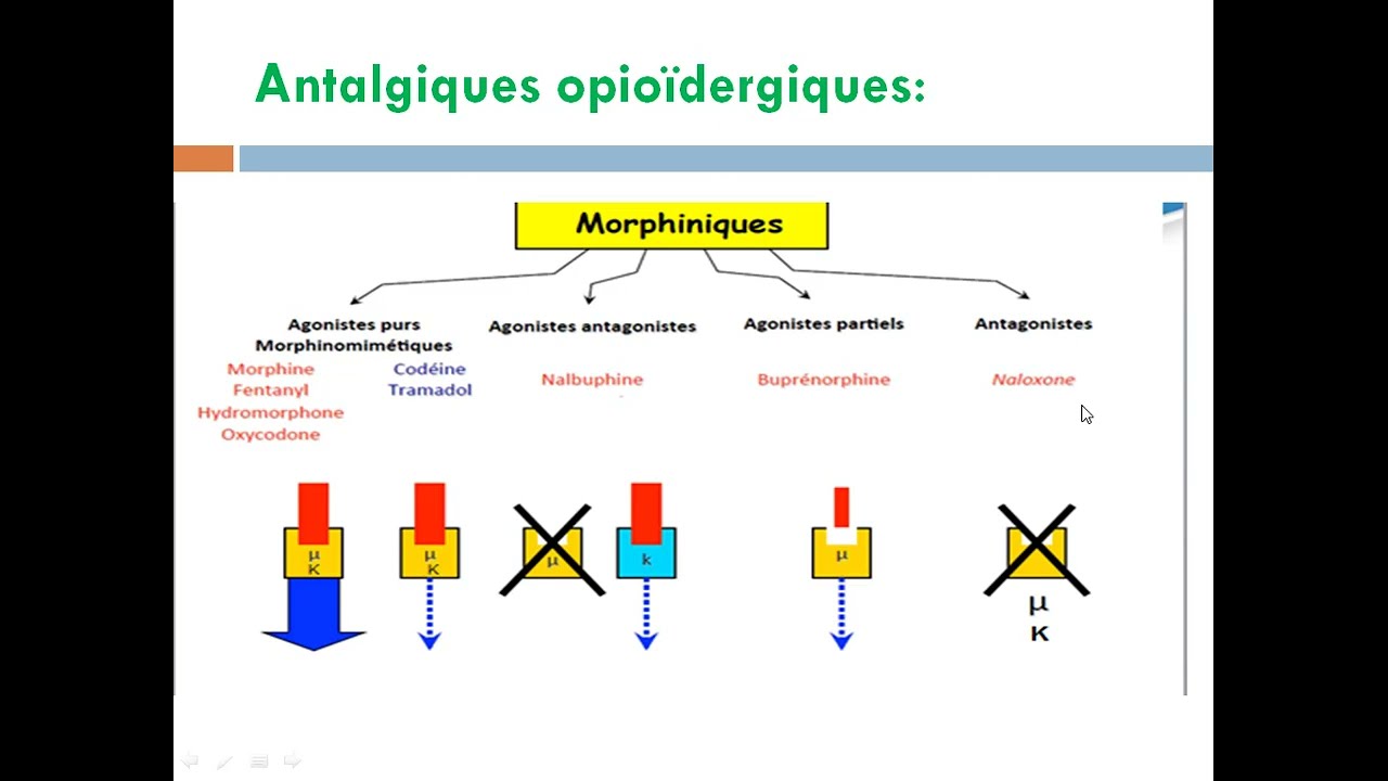 cour14: les antalgiques