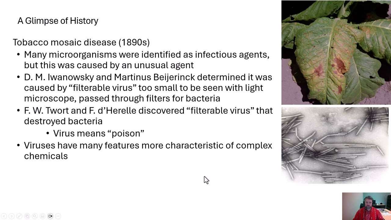 Microbiology   Tobacco Mosaic Virus