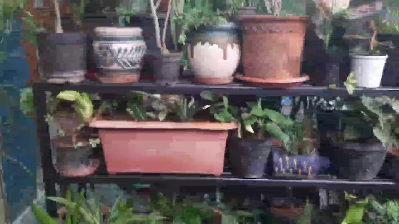 happy gardening