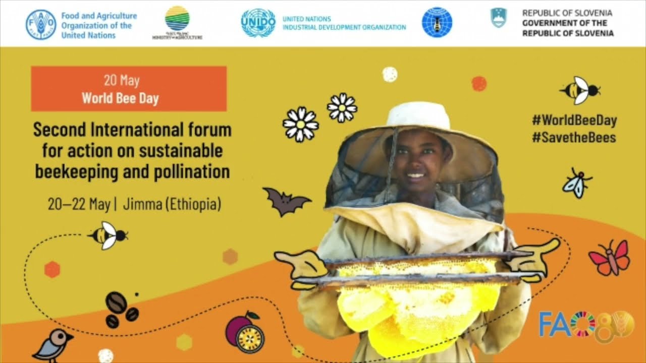 World Bee Day 2025 Celebration in Jimma Town, Ethiopia