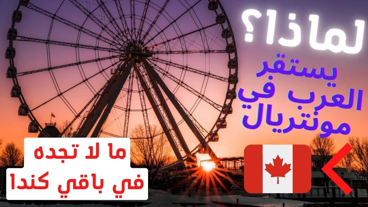 سر استقرار العرب في مونتريال دون غيرها في كندا