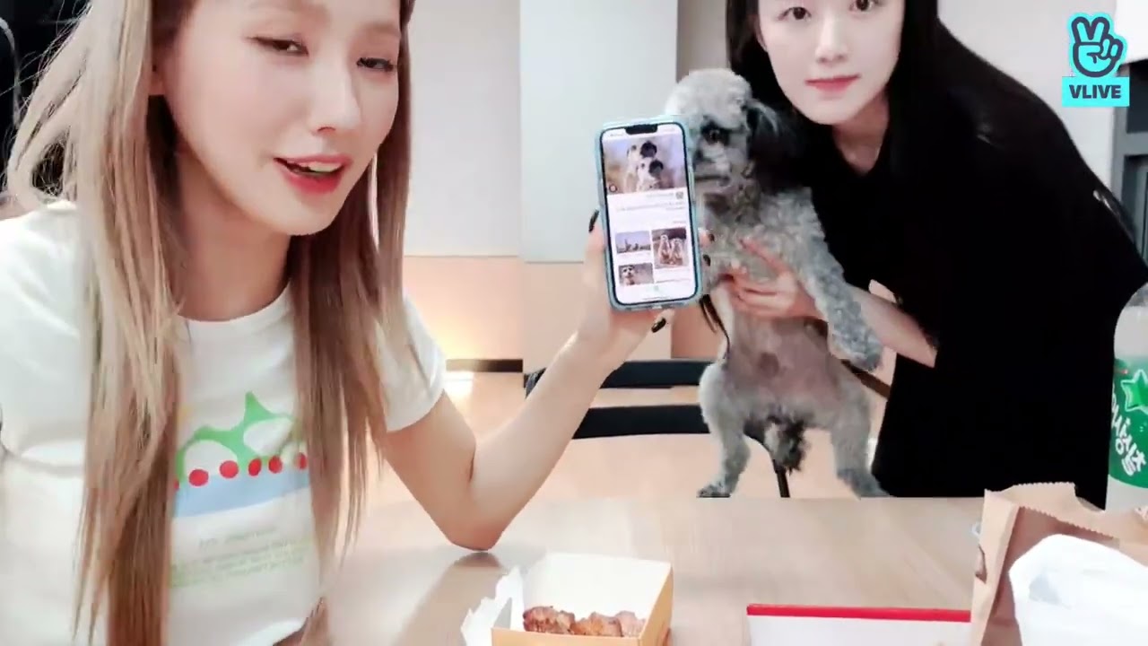 [ENG/INDO SUB] (G)-IDLE 'MINNIE, MIYEON, SHUHUA' LIVE VLIVE (2022.06.05) (G)-IDLE VLIVE 220605
