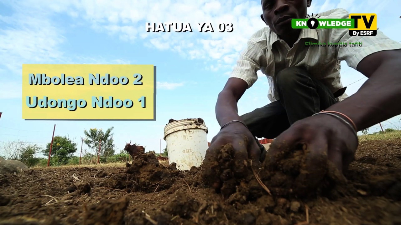 KnowledgeTv by ESRF S01E44 - Jinsi ya Kulima na Kuvuna Azolla ( Chakula cha Mifugo na Mbolea)