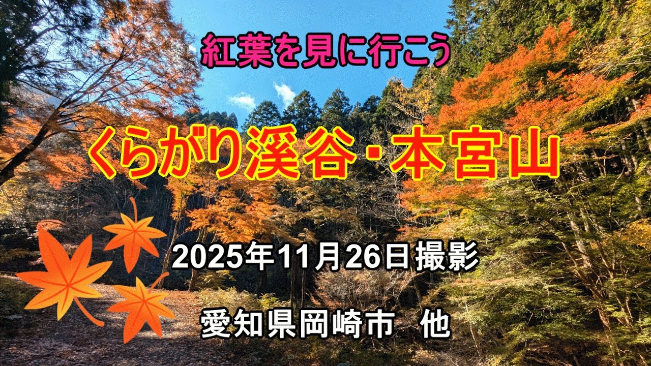くらがり溪谷紅葉まつり・本宮山に行って来ました　ナオユミのハイキングに行こう